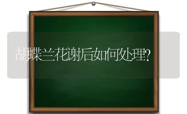 胡蝶兰花谢后如何处理？ | 绿植常识