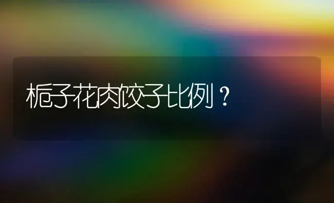 黄色蝴蝶兰的寓意和象征着什么？ | 绿植常识