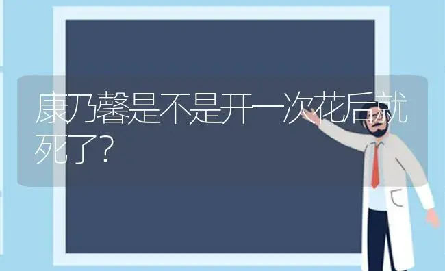 康乃馨是不是开一次花后就死了？ | 绿植常识