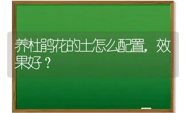 养杜鹃花的土怎么配置，效果好？ | 绿植常识