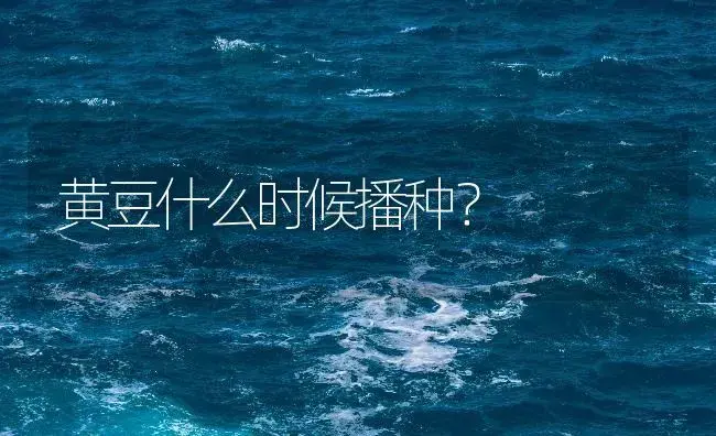 黄豆什么时候播种？ | 农作物种植