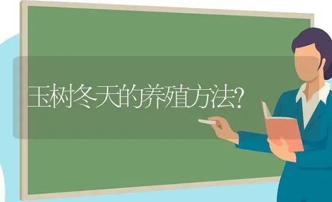 玉树冬天的养殖方法？ | 多肉养殖