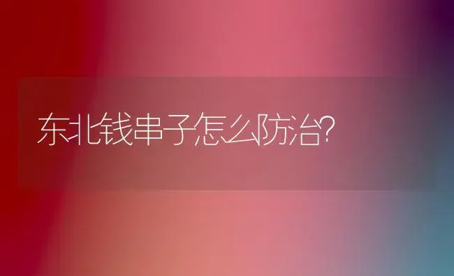 东北钱串子怎么防治？ | 多肉养殖