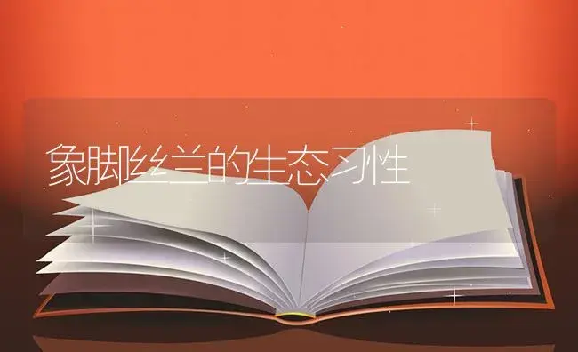 象脚丝兰的生态习性 | 特种种植