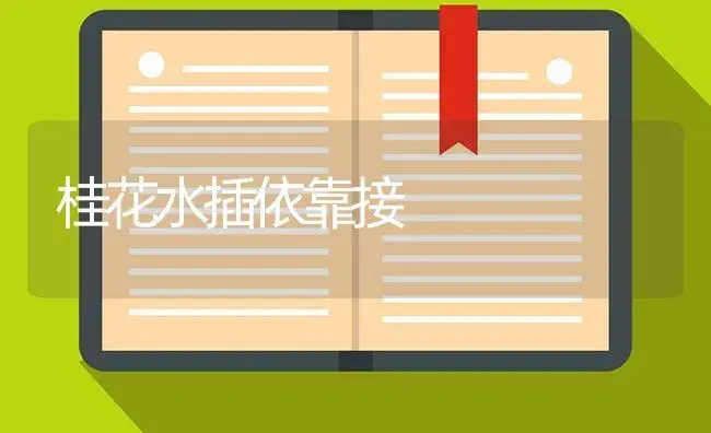 桂花水插依靠接 | 特种种植