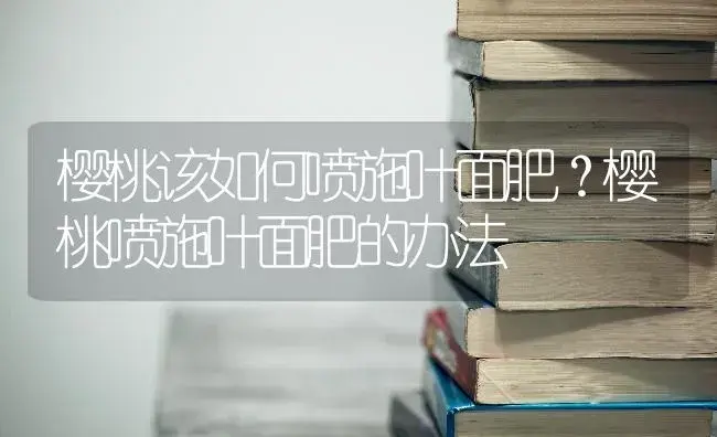 樱桃该如何喷施叶面肥？樱桃喷施叶面肥的办法 | 果木种植