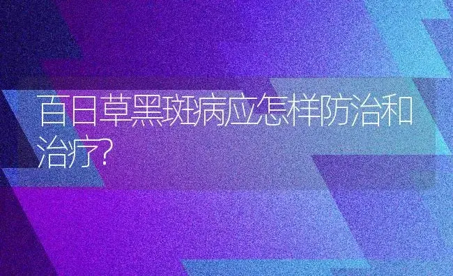 百日草黑斑病应怎样防治和治疗? | 家庭养花