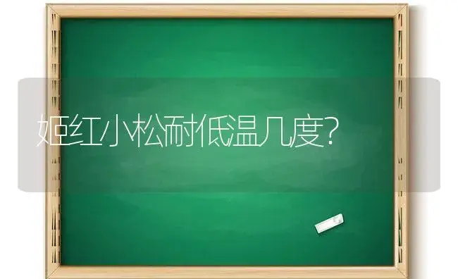 姬红小松耐低温几度？ | 多肉养殖