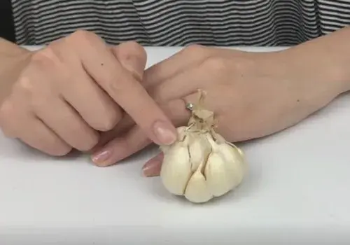 盆景知识 | 大蒜养花起什么作用