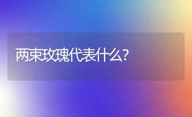 两束玫瑰代表什么？ | 绿植常识