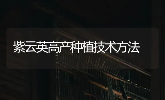 紫云英高产种植技术方法 | 特种种植