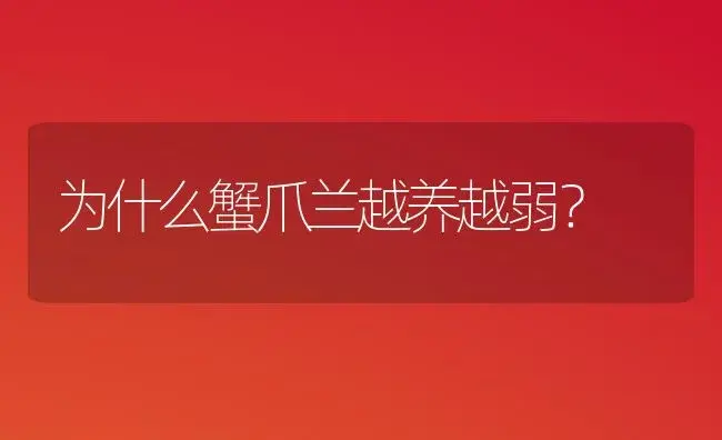 为什么蟹爪兰越养越弱？ | 多肉养殖