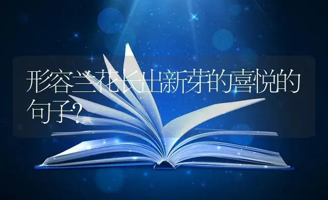 形容兰花长出新芽的喜悦的句子？ | 绿植常识