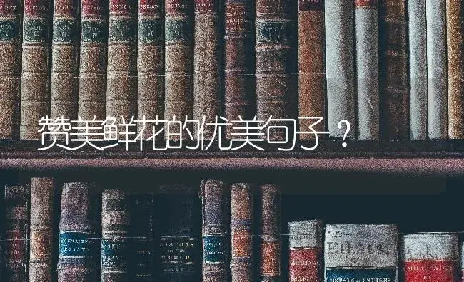 赞美鲜花的优美句子？ | 绿植常识