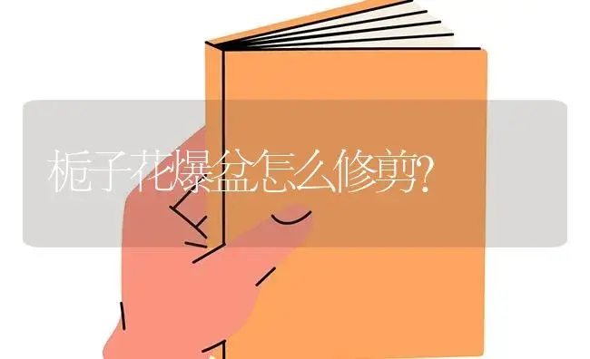 栀子花爆盆怎么修剪？ | 绿植常识