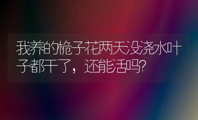 我养的桅子花两天没浇水叶子都干了，还能活吗？ | 绿植常识