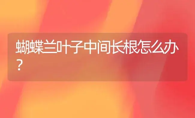 蝴蝶兰叶子中间长根怎么办？ | 绿植常识