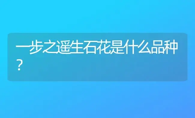 一步之遥生石花是什么品种？ | 多肉养殖