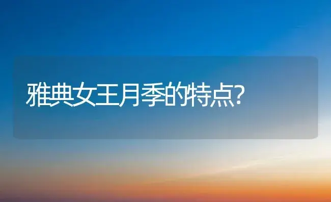 雅典女王月季的特点？ | 绿植常识