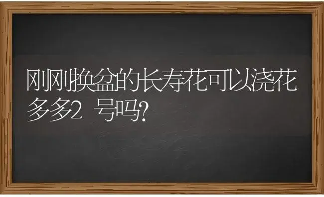 刚刚换盆的长寿花可以浇花多多2号吗？ | 多肉养殖