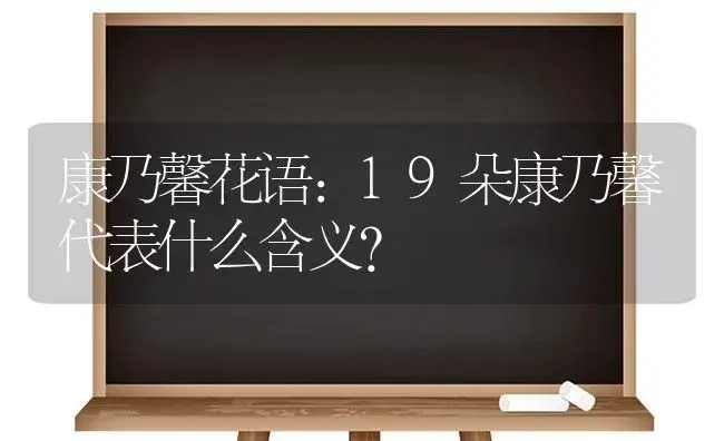 康乃馨花语：19朵康乃馨代表什么含义？ | 绿植常识