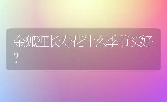 金狐狸长寿花什么季节买好？ | 多肉养殖