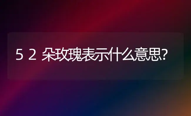 52朵玫瑰表示什么意思？ | 绿植常识