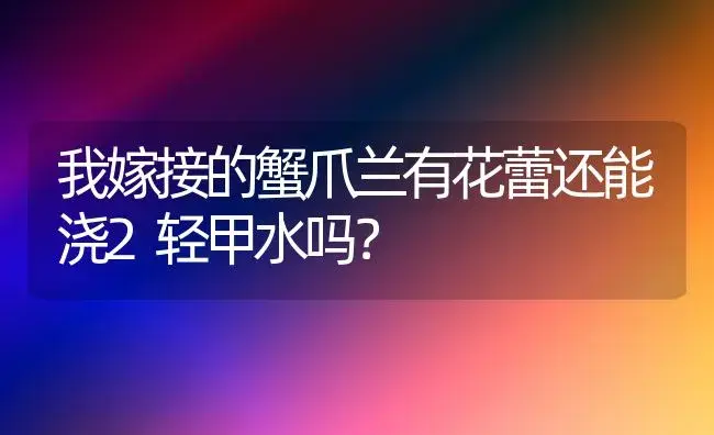 我嫁接的蟹爪兰有花蕾还能浇2轻甲水吗？ | 多肉养殖