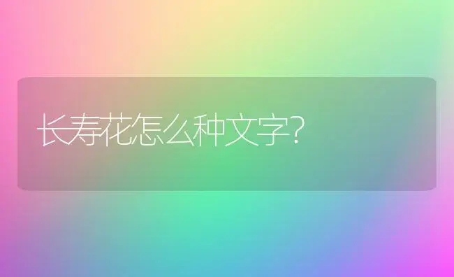 长寿花怎么种文字？ | 多肉养殖