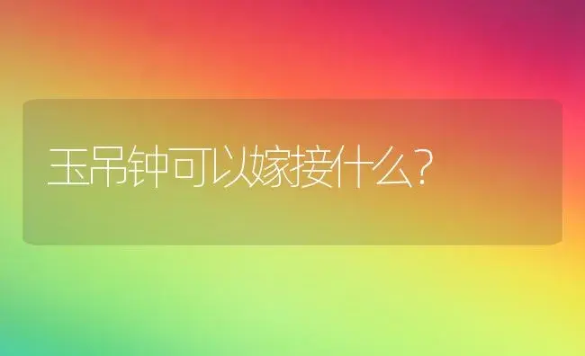 玉吊钟可以嫁接什么？ | 多肉养殖