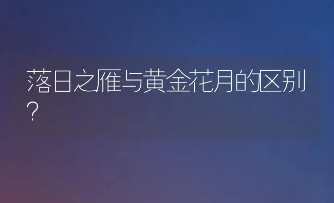 落日之雁与黄金花月的区别？ | 多肉养殖