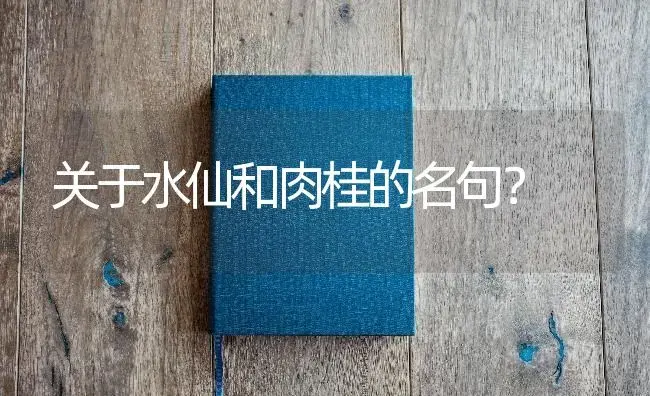 关于水仙和肉桂的名句？ | 绿植常识