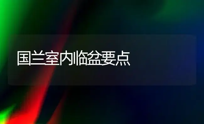 国兰室内临盆要点 | 家庭养花