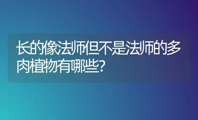 长的像法师但不是法师的多肉植物有哪些？ | 多肉养殖