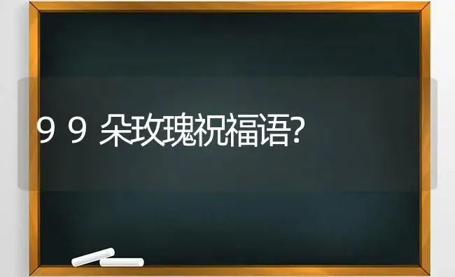 99朵玫瑰祝福语？ | 绿植常识