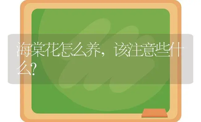 海棠花怎么养，该注意些什么？ | 绿植常识