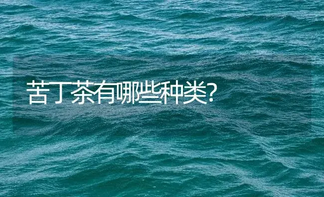 苦丁茶有哪些种类？ | 农作物种植