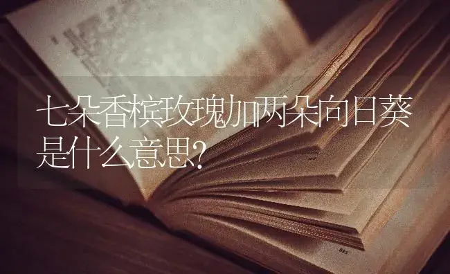 七朵香槟玫瑰加两朵向日葵是什么意思？ | 绿植常识