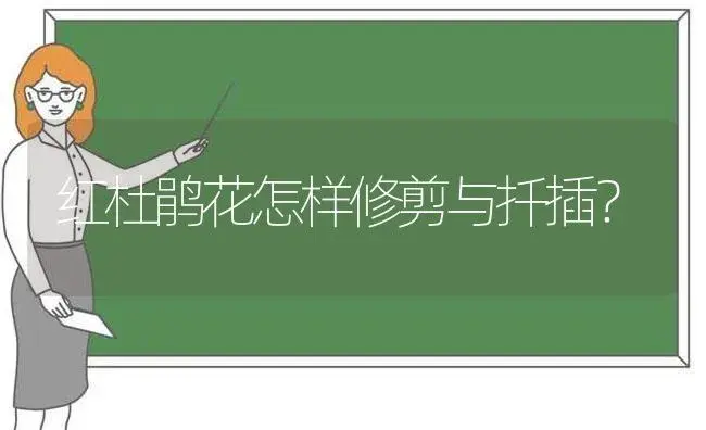 红杜鹃花怎样修剪与扦插？ | 绿植常识