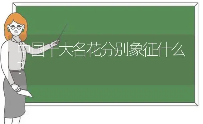 悼念已故爱人，买什么花最合适？ | 绿植常识