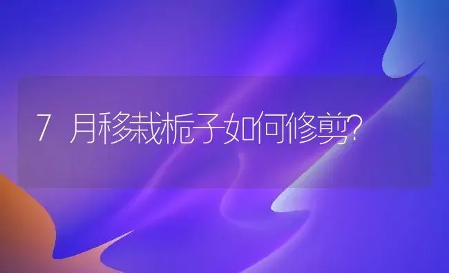 7月移栽栀子如何修剪？ | 绿植常识