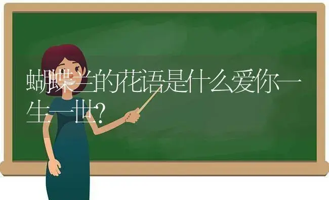 蝴蝶兰的花语是什么爱你一生一世？ | 绿植常识