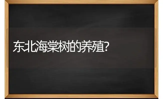 东北海棠树的养殖？ | 绿植常识