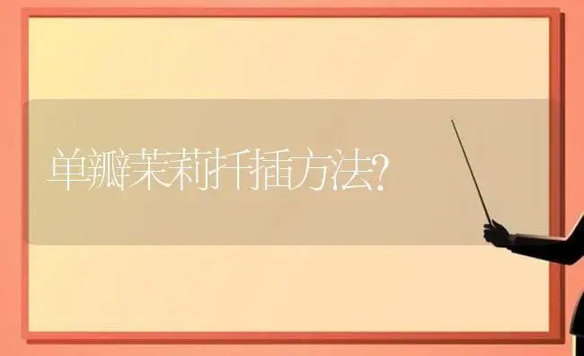 单瓣茉莉扦插方法？ | 绿植常识