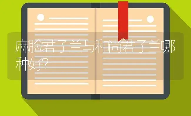 麻脸君子兰与和尚君子兰哪种好？ | 绿植常识