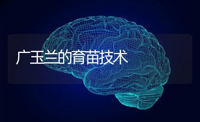 广玉兰的育苗技术 | 特种种植