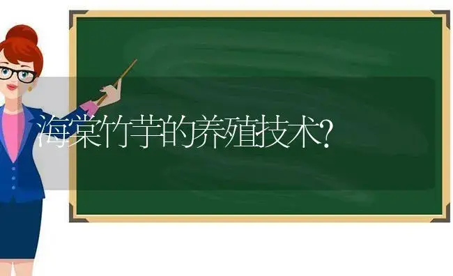 海棠竹芋的养殖技术？ | 绿植常识