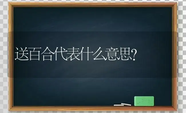 送百合代表什么意思？ | 绿植常识