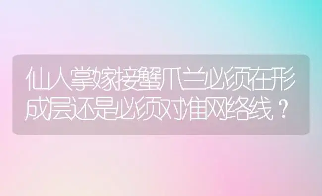 仙人掌嫁接蟹爪兰必须在形成层还是必须对准网络线？ | 多肉养殖