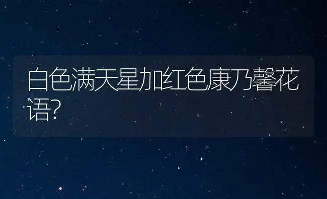 君子兰开花为什么特别鲜红？ | 绿植常识